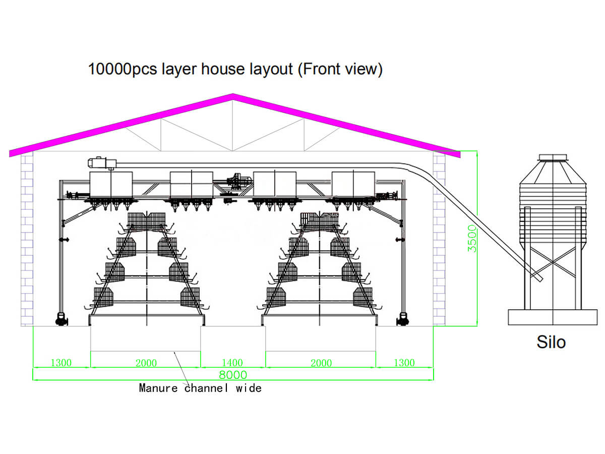 CAD layout of a 10,000 bird layer poultry house